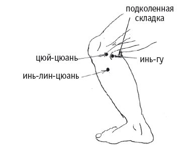 Точка f 8. Точка Инь Лин цюань. Цюй цюань точка Liv-8. Точка Цюй цюань. Точка rp9 Инь-Лин-цюань.