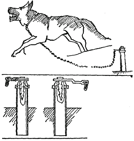 Длина цепи караульной собаки. Приучение собаки к караульной службе на блок-посту. Блокпост для караульной собаки. Арасланов Филимон дрессировка служебных собак. Техника дрессировки служебных собак.