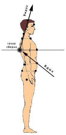 Точка сборки. Точка сборки человека. Точка сборки сознания. Точка сборки Кастанеда. Что такое точка сборки по Кастанеде.