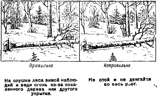 Тактика ведения боя в лесу малой группой схемы