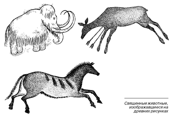 Древнее животное 5 класс. Рисунки древних животных. Рисунок первобытного животного. Рисунки животных на которых охотились первобытные люди. Нарисовать древнее животное.