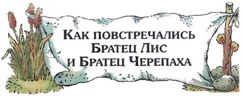 Как повстречались братец лис и братец черепаха рисунок