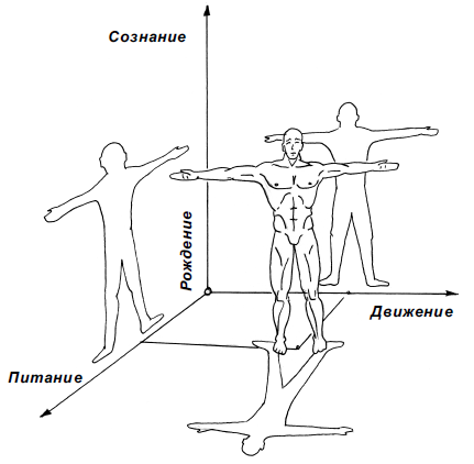 Движение сознанием