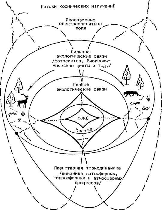 Схема зеркал козырева