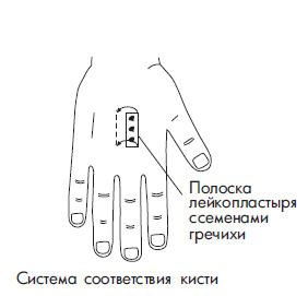 Точки для прижигания полынными сигарами схема