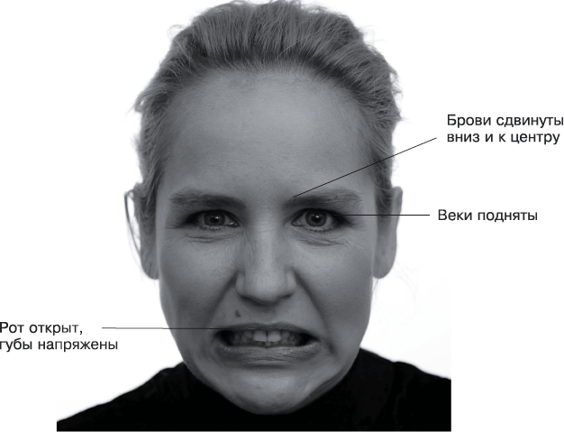 Мимика лица. Мимика гнев. Эмоции по мимике лица. Физиогномика выражение лица.
