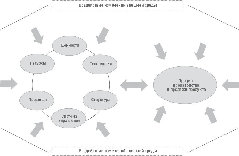 Изменяющиеся воздействия. Изменения внешней среды. Теория хаоса в менеджменте. Воздействия изменений внешней среды. Изменение внешнего окружения.