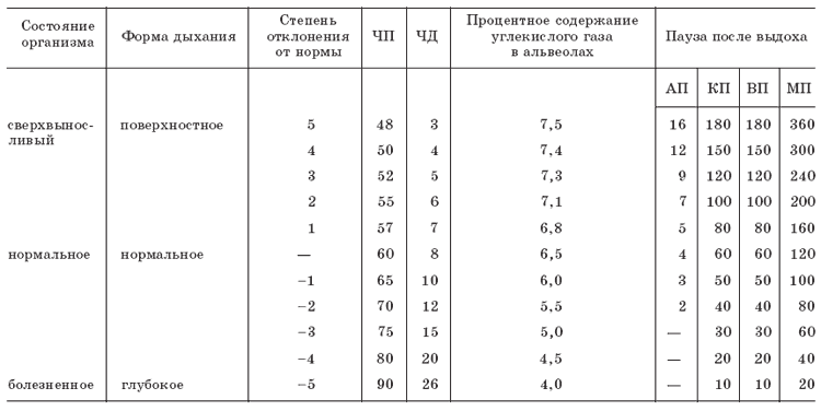 Дыхание в норме у взрослого